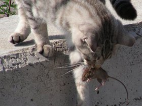 10-1001 İst (29).JPG